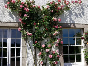 Bowden House B&B