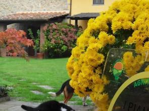 Agriturismo i Pianacci