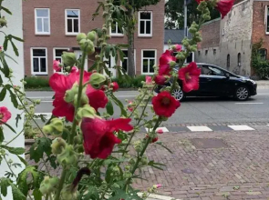 Apartment Bolwerkzicht