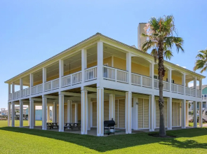 Beachfront Flamingo by RedAwning