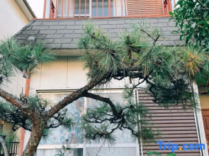 naramoon The stairs are steep, suitable for young people to live in.