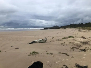 Rocky Cape Retreat