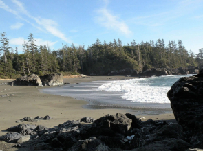Pacific Drift Inn