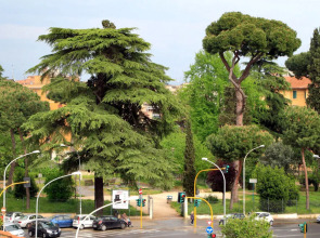 Bed and Breakfast Gustè