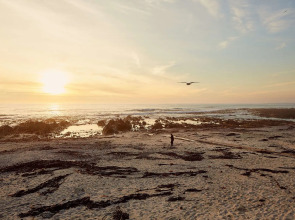 First Group Riviera Suites