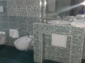 Vila Vlad