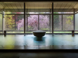 Oshuku Onsen Seikoso