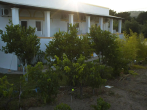 Level Houses