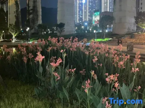 Longyan Xingwang Hot Spring Hotel