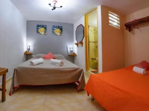 Noras House