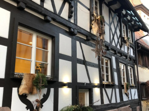 der Gänsbühl auf der Stadtmauer, Aparthotel