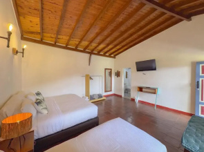 Dreamer Cocora