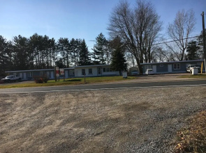 Pine Tree Motel