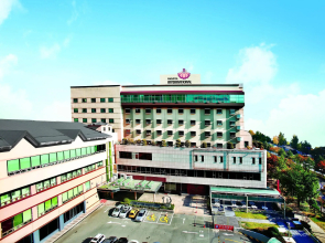Hotel International