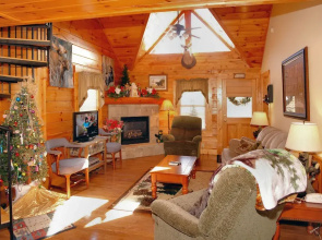 Almost Bearadise #289 by Aunt Bug's Cabin Rentals