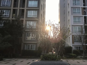 Stay in Style Doi Suthep View with Oasis