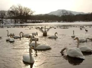 Onuma lakeside cottage