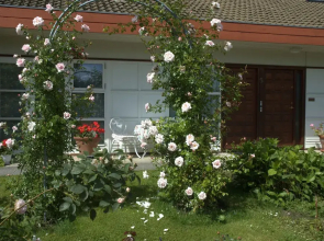 Rose-House Hillerød Bed and Breakfast