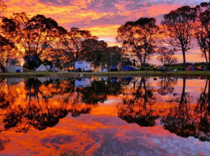 Coonawarra Bush Holiday Park