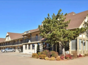 Executive Inn