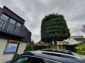 Business Apartments Ost