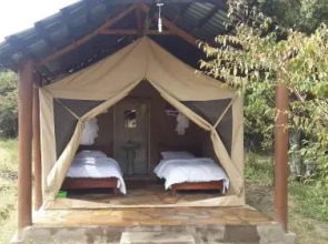 Mara Elephant Springs-Tented Camp