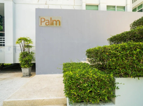 The Palm at Veloche by Lofty