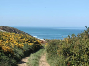 Avó das Bolachas 10
