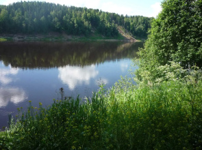 Zhemchuzhina Suhony