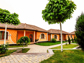 Leo Palace