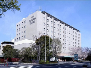 Hotel Princess Garden