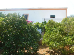Spacious Villa Ideal Families and Groups