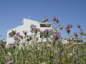 Olive Tree Apartments