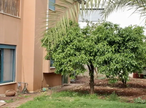 Aliyah Return Center - Kinneret Villa