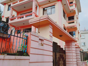 Monkey Bunky-3Monkeys Backpacker's Hostel