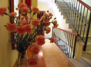 Hotel Marbella
