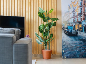 Anahuac Apartments by VH