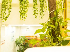 Home Inn Neo (Quanzhou Bell Tower West Street)