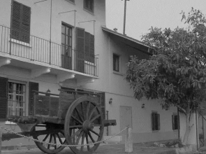 Agriturismo Il Nespolo