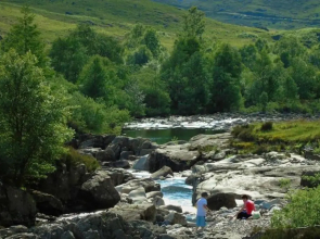 Roe Deer Cottage near Glencoe