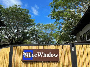 Blue Window
