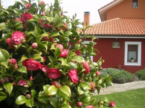 Hotel Coto del Pomar