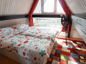 Cosy cottage, Burhave