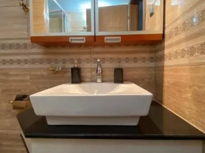 The only luxurious apartment in the center of town