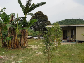 Riverside Lodge Desa Putra