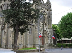 les camélias