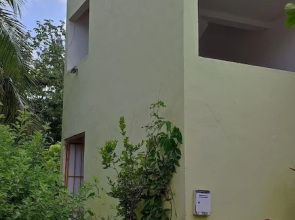 Yamil House
