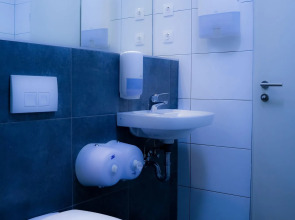 The Hive Party Hostel