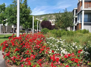 Apartamento Pirineo De Huesca, Jaca, Formigal, Panticosa