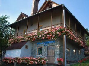 Cabana Codrut
